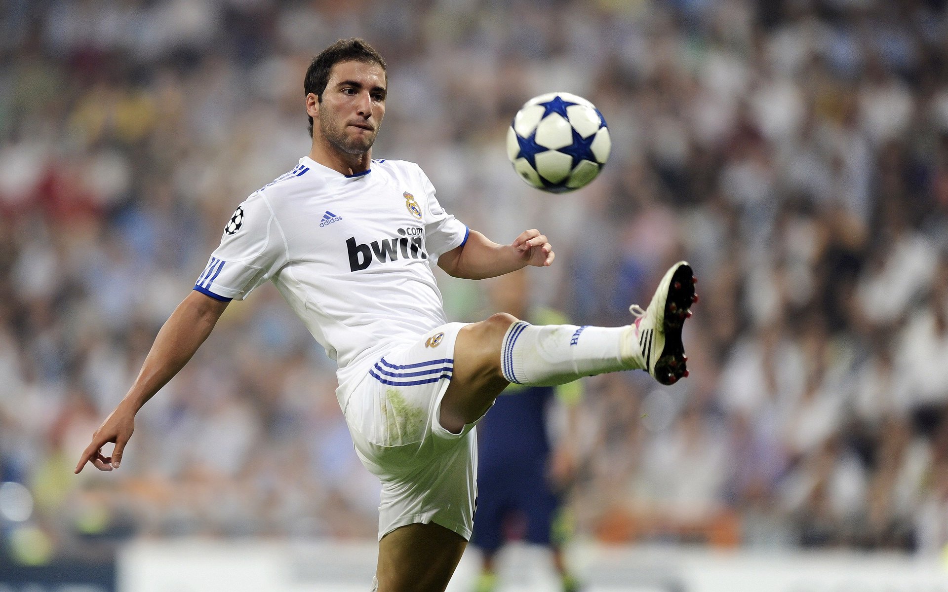 kaiyun.com-国际足球青少年锦标赛火热展开，未来之星亮相赛场，国际青少年足球俱乐部