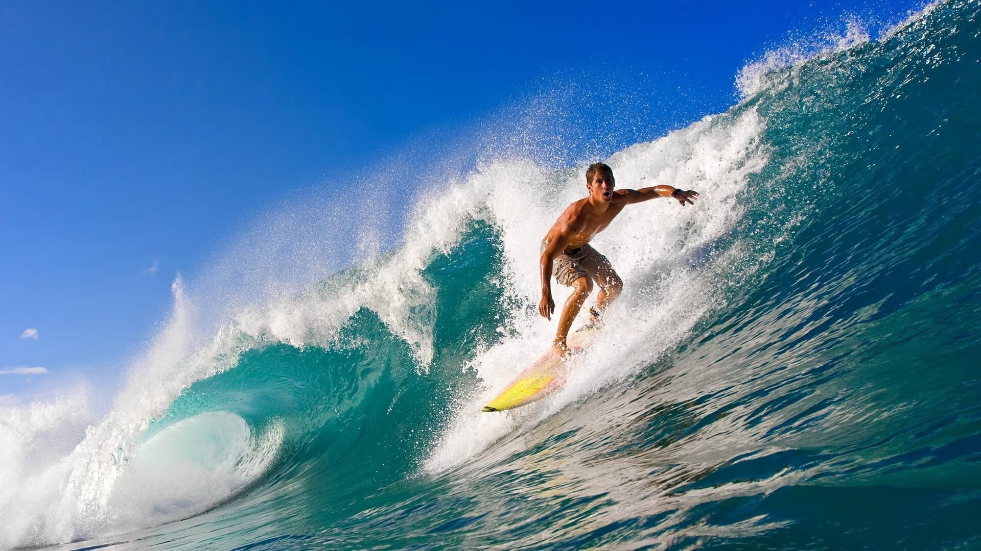 开云网页-法国橄榄球队在世界杯赛场上的表现值得期待，法国橄榄球队2019年历