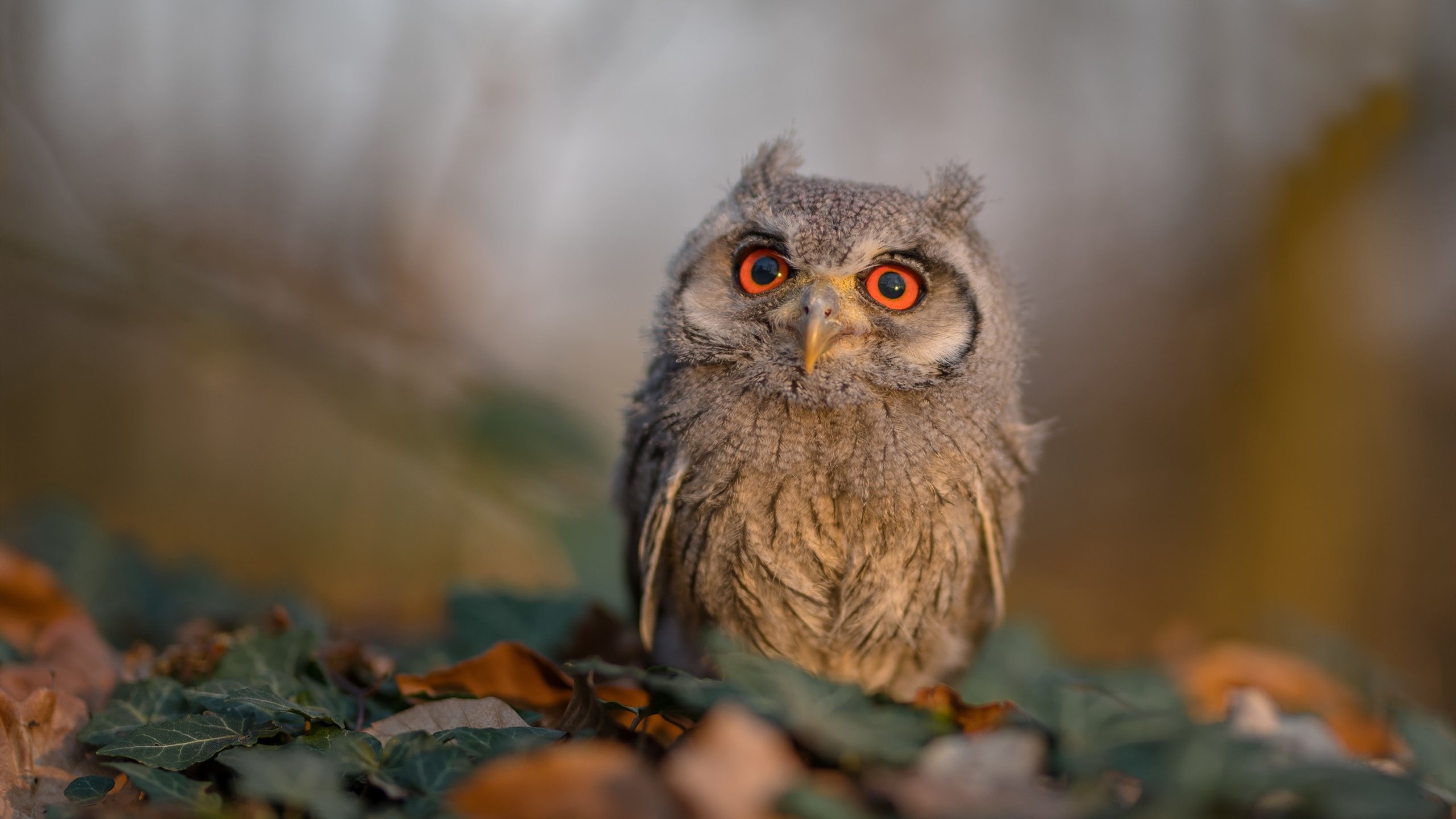 开云·Kaiyun网页版-NBA纪律委员会严查比赛争议事件，nba2k球员纪律啥意思