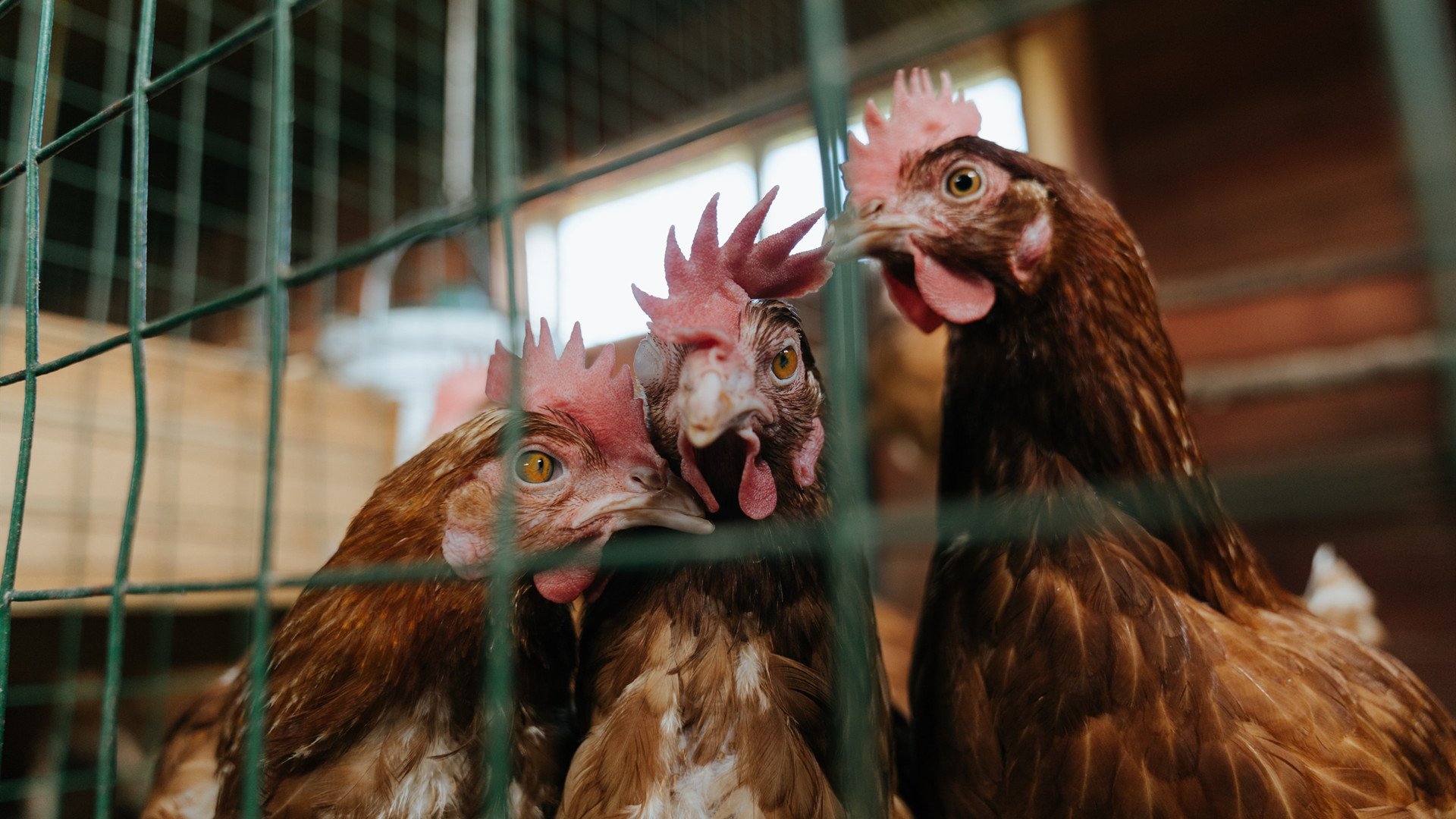 kaiyun登录入口-VALORANT 青训体系成果显著，valorant esport