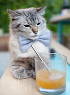 开云·体育官网-“速度之魂”——冠军车手的血性与荣耀，速度之星