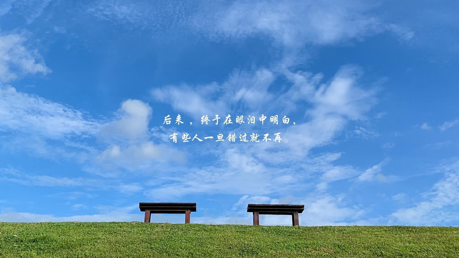 上海男篮全线升级，冲击年度最佳表现，上海男篮2021
